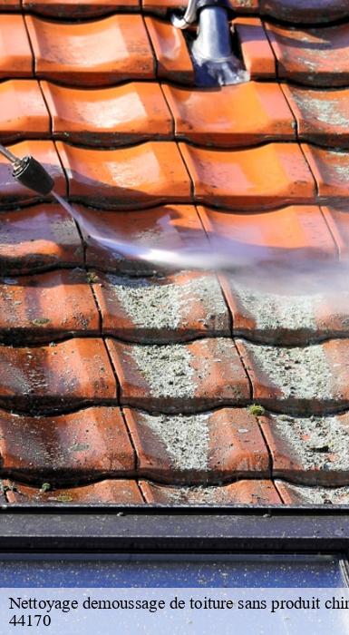 Nettoyage demoussage de toiture sans produit chimique  marsac-sur-don-44170 SK entreprise de nettoyage 