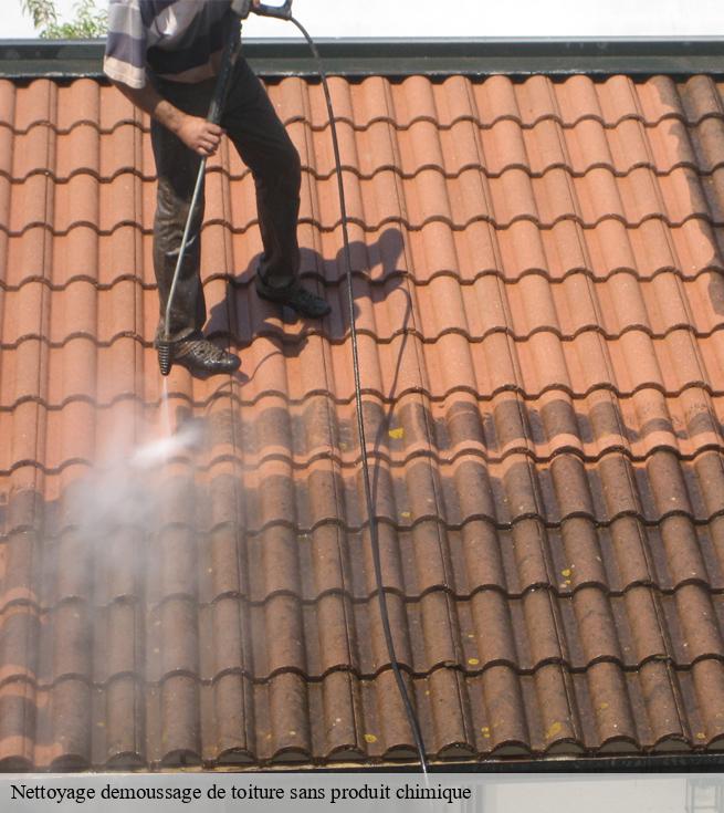 Nettoyage demoussage de toiture sans produit chimique  corcoue-sur-logne-44650 SK entreprise de nettoyage 