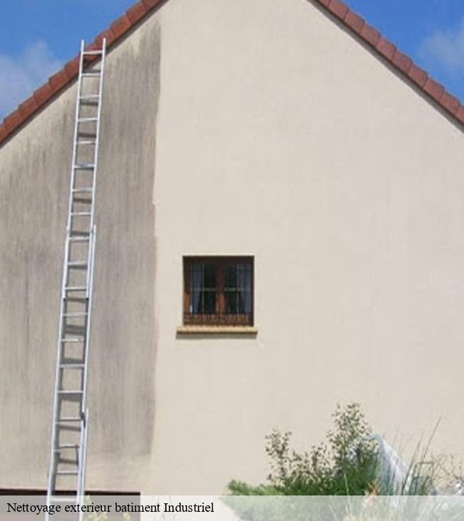 Nettoyage exterieur batiment Industriel   trans-sur-erdre-44440 SK entreprise de nettoyage 