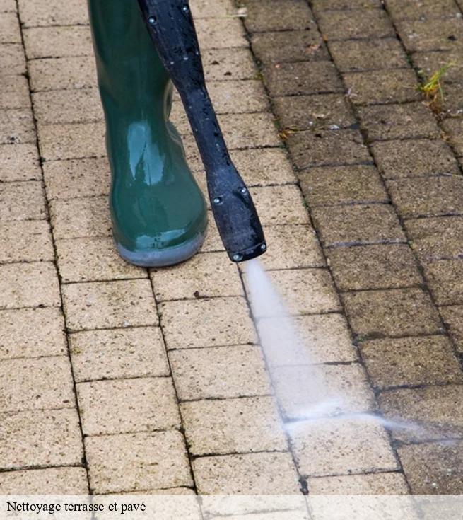 Nettoyage terrasse et pavé  pontchateau-44160 SK entreprise de nettoyage 