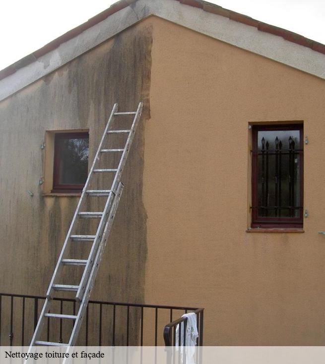 Nettoyage toiture et façade  mauves-sur-loire-44470 SK entreprise de nettoyage 
